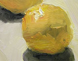 Oranges Oil Painting