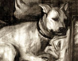Pup-Pup Charcoal Portrait